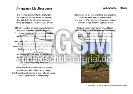 An-meinen-Lieblingsbaum-Ahlefeld.pdf